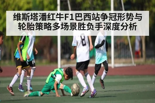 维斯塔潘红牛F1巴西站争冠形势与轮胎策略多场景胜负手深度分析